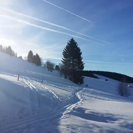 Monte E Mare -ferienidyll In Todtnauberg *