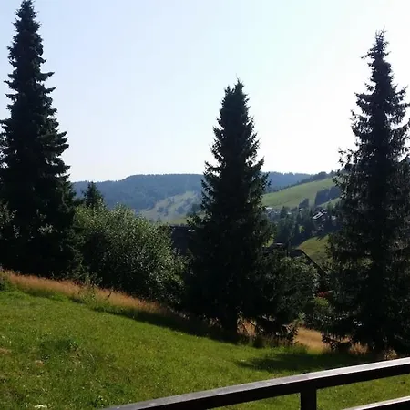 公寓 Monte E Mare -ferienidyll In Todtnauberg 托特瑙